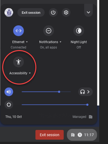 Screenshot of the 'Customise settings' popup box with the 'Accessibility' button circled.