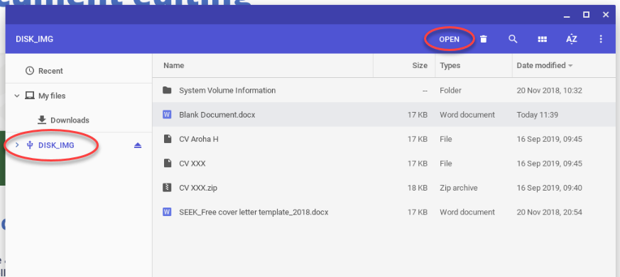 Screenshot of the File Explorer window with the USB name and the 'Open' button circled.
