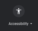 Screenshot of the 'Accessibility' button.