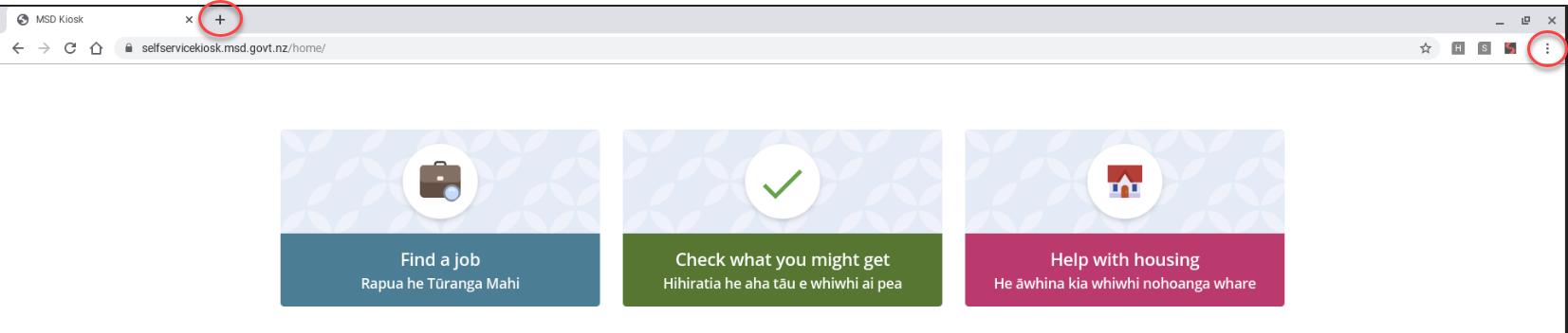 Screenshot of the kiosk home page with the '+' button circled and the button with the three dots circled.