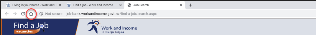 Screenshot of the browser tabs that are open with the 'home' icon circled.